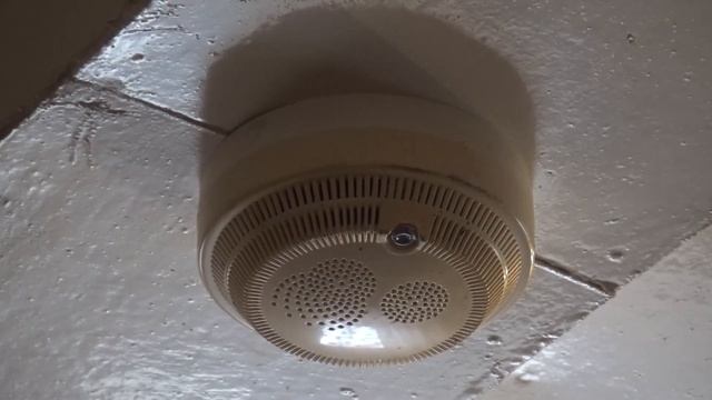 Извещатель в каждый дом. Дрибин смотреть онлайн