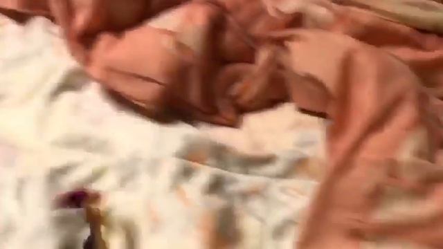 Все мои скрепыши и Соник смотреть онлайн