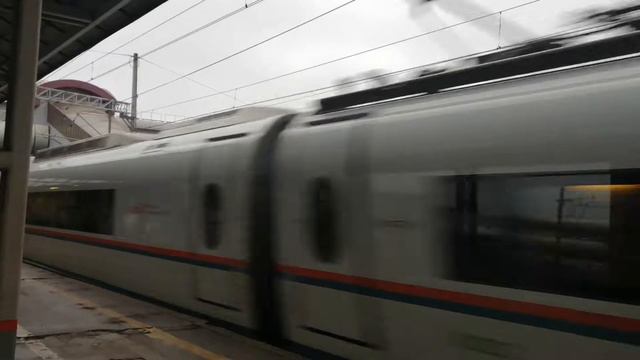 Сапсан с сообщением Нижний Новгород - Санкт-Петербург. смотреть онлайн