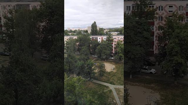 12 августа 2020 г. смотреть онлайн