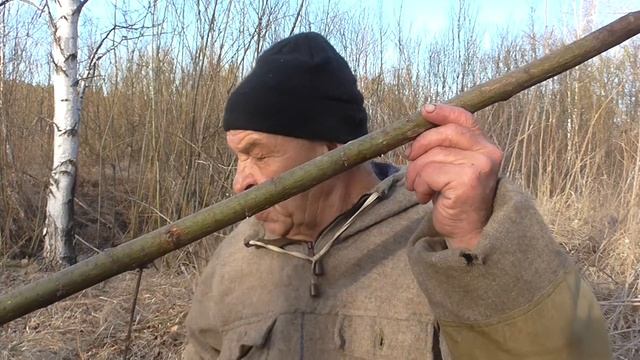 Дерево для поделок Сектэ ива тальник смотреть онлайн