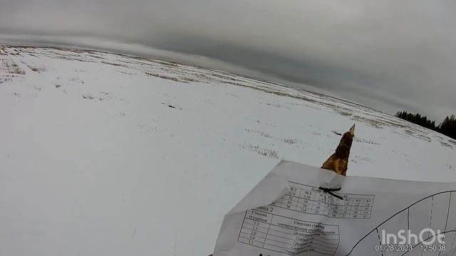 Сайга 12С против Marocchi Si 12 (первая часть!)