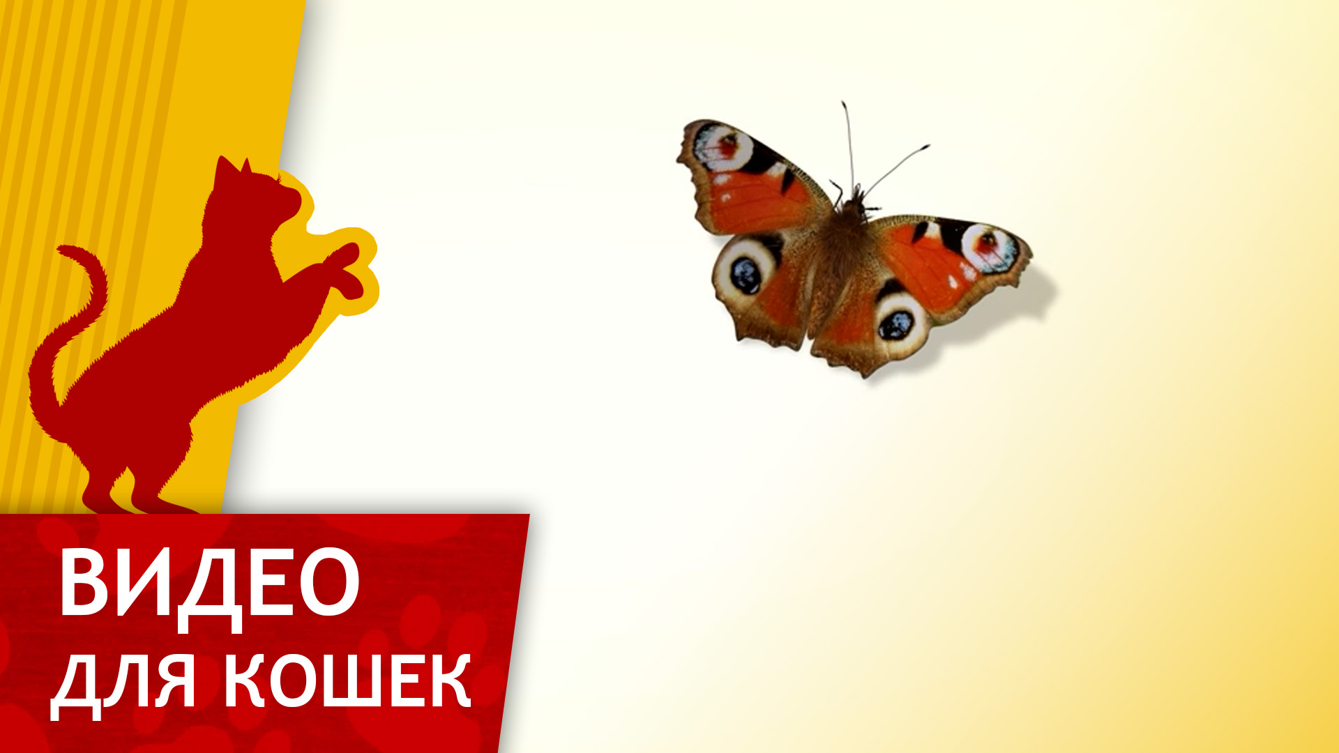 Видео для кошек - Поймай бабочку (Развлеки своего кота) смотреть онлайн
