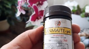 Орхидейные клещи и быстрая борьба с ними.Применение препарата Санмайт.