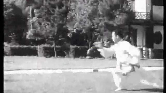 Мусульманский стиль Чха (чжа) Цюань, 9-я дорожка /  цюаньCha Quan, 9th Road