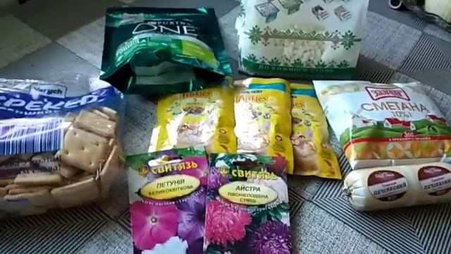 Мама пяти кошек из Запорожья . Сутки на работе . Говорят май будет тяжёлый . смотреть онлайн