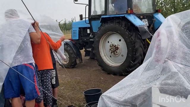 Работа в Крыму/ Сбор черешни ?и клубники? смотреть онлайн