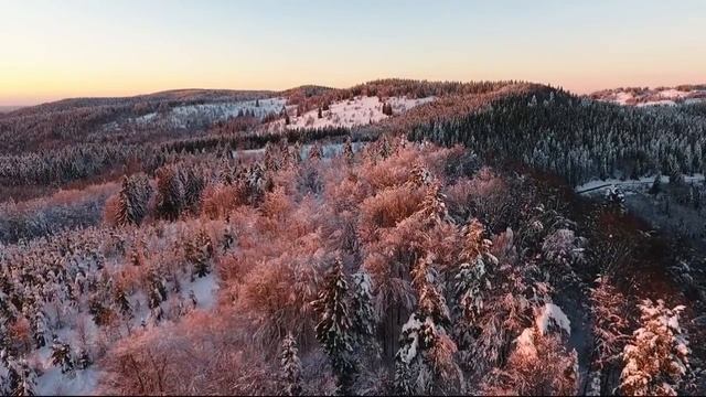Почему русские крестьяне отказывались сажать картошку смотреть онлайн