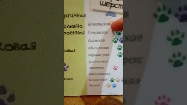 Как правильно ращёсывать кошку смотреть онлайн