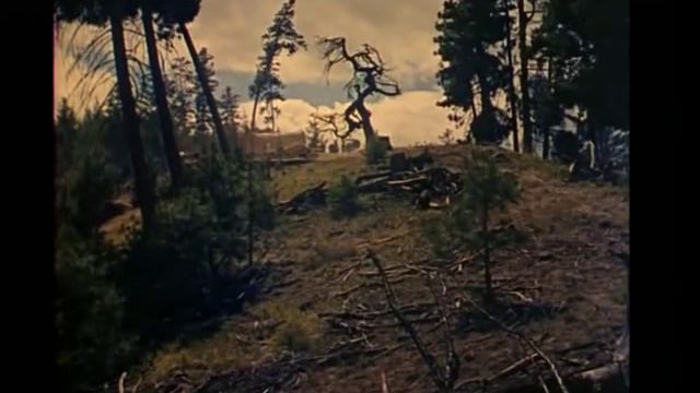 The Hanging Tree - Movie Theme Song by Marty Robbins смотреть онлайн