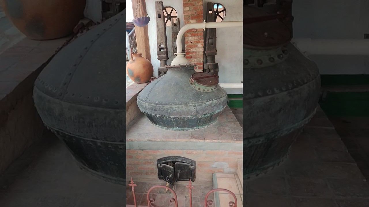 Самогонный аппарат для приготовления карибского рома - остров ️ Маргарита смотреть онлайн