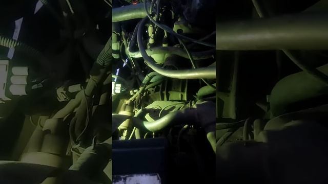 Китайский 4300к ксенон,оказался салатовый... смотреть онлайн