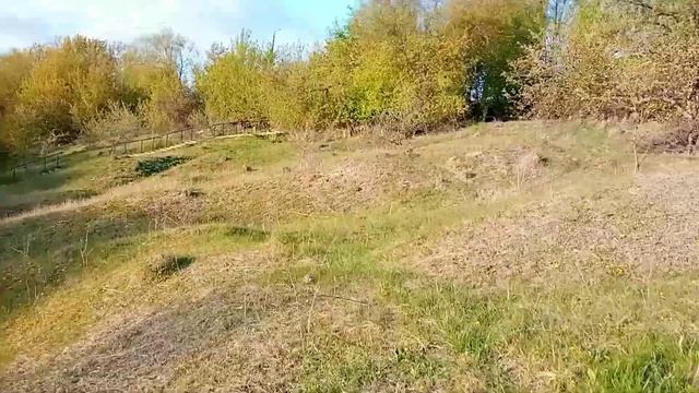 Как тут симпатично и колюче и опасно. смотреть онлайн