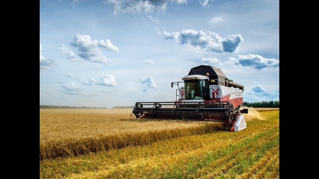 Что такое экология смотреть онлайн