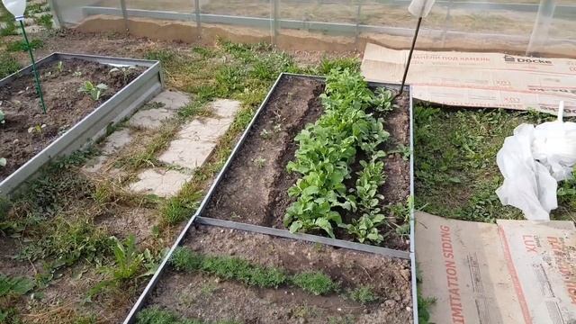 Спа-салон в теплице на даче Бассейны смотреть онлайн