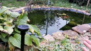 Фильтр для пруда своими руками. Чистая вода - Это реально.