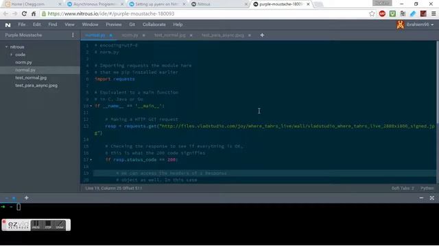 CS 341 - Asynchronous Programming with Python смотреть онлайн