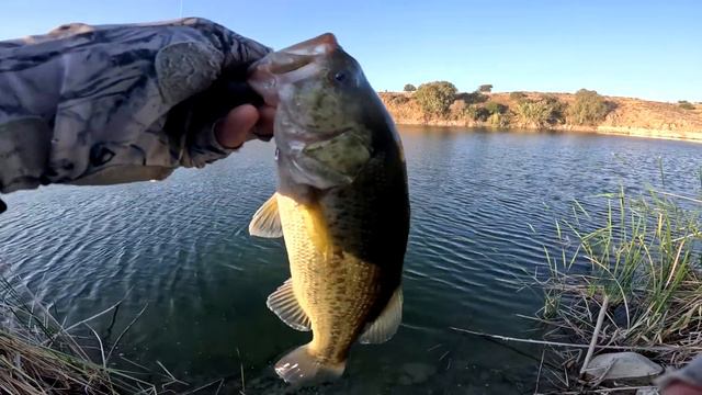 Рыбалка на Кипре.Дистанция для ловли на слаг басса.Часть -16.сезон 2023 смотреть онлайн