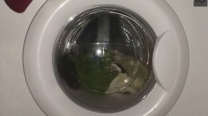 Последнее видео в январе 2023 года LG F10B8LD0 Быстро 30 800 Об/Мин 40С