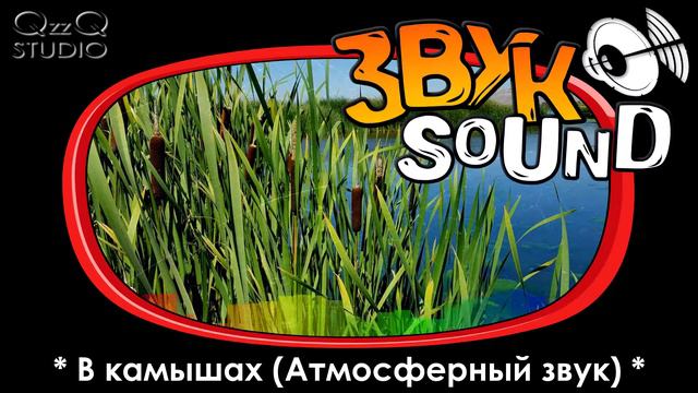 В камышах (Атмосферный звук) / In the reeds (Atmospheric sound) смотреть онлайн