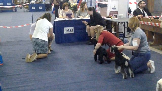 Моно цвергов Омск заключительная часть смотреть онлайн