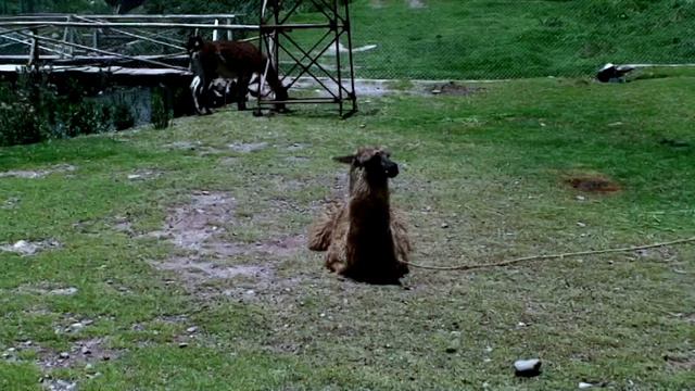 Перу 3. Красная крепость mp4 смотреть онлайн