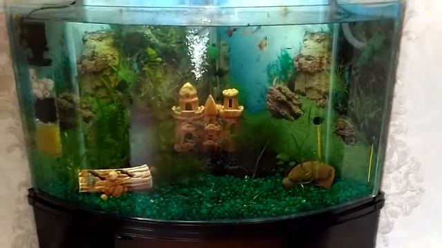 Водопад в аквариуме смотреть онлайн