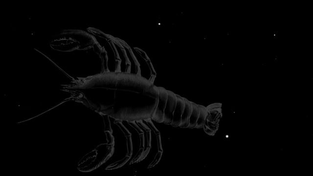 Tonight's Sky for March 2016 on Hubble Space Telescope смотреть онлайн