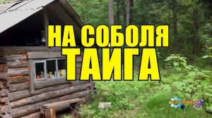 0852 - НА СОБОЛЯ _ ЖИЗНЬ В ГЛУХОЙ ТАЙГЕ _ ПРЕДАТЕЛЬСТВО ОХОТНИКА
