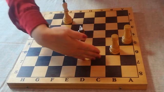 Урок 1. Шахматы. Линейный мат двумя ладьями. смотреть онлайн
