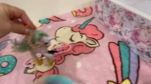 Подарок для пони | единорожки | видео для детей про пони