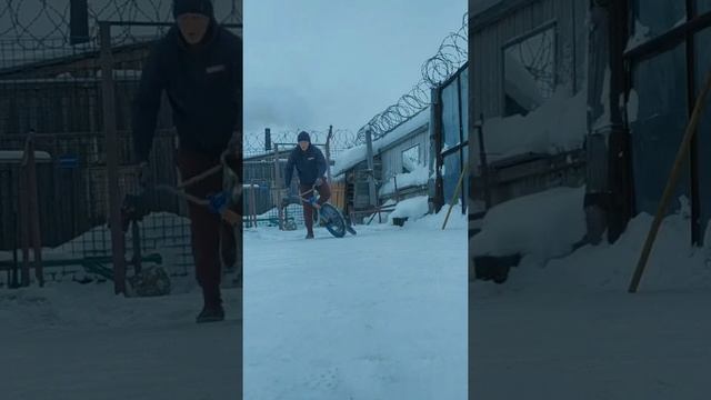 Архангельская Область Плесецкий район поселок Икса Североонежск смотреть онлайн