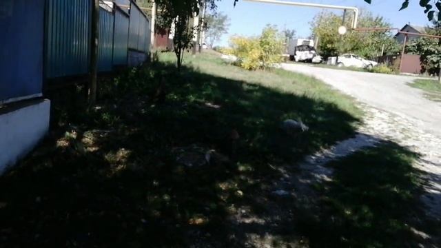 Распаковка, что Купила.