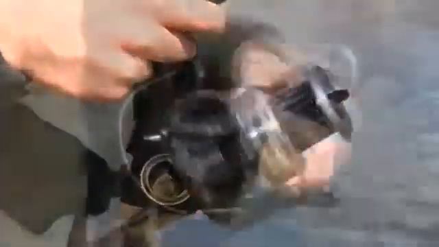 Карповая катушка Daiwa Crosscast S 5000 5500 смотреть онлайн