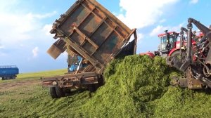 Заготовка силоса 2021. КАМАЗы - транспортировка | КИРОВЦы - трамбовка | ДОН680 - уборка.