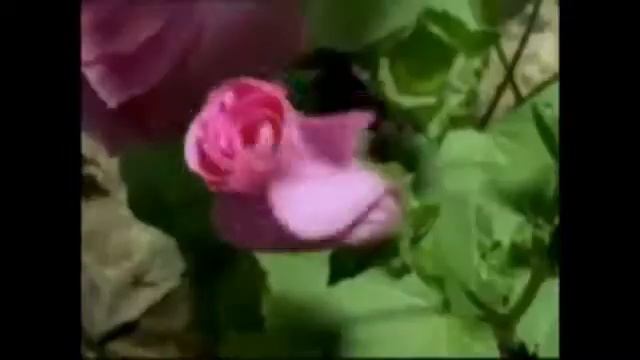 8 е Марта! Женя смотреть онлайн