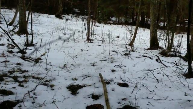 Квадропоход 1.0