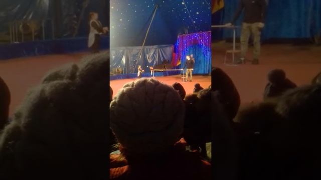 Цирк Шапито смотреть онлайн