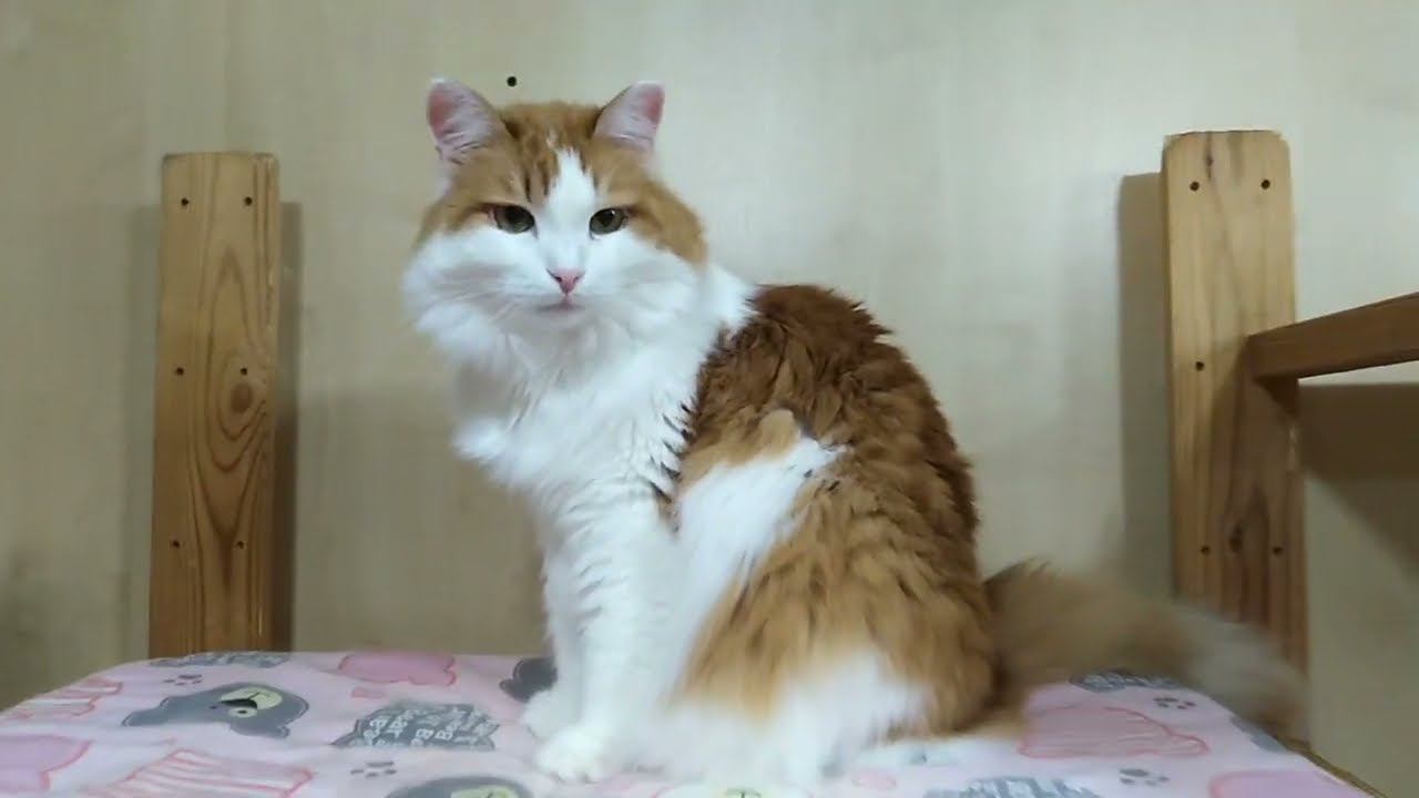 Уборка в самой большой комнате приюта