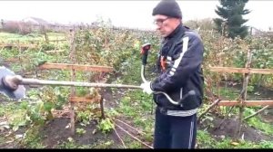 Бизнес на малине: подводим итоги 2- года/Опыт новичка