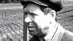1982 год. Тюменская область. Посевная в колхозе
