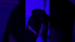 Клип Хейден и Стеффи ❤️ #хейден #стеффи #liasteffi #allenduel