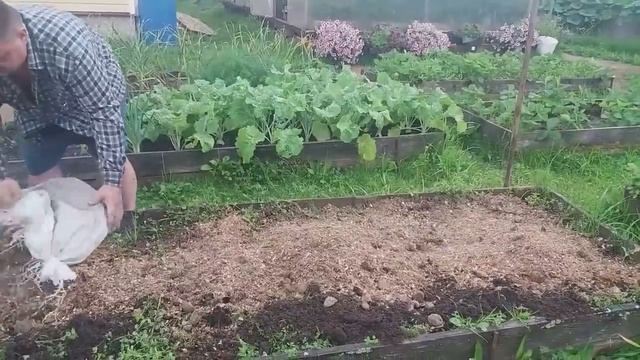 ПЛАНИРОВАНИЕ ПОСАДОК в огороде Севооборот смотреть онлайн