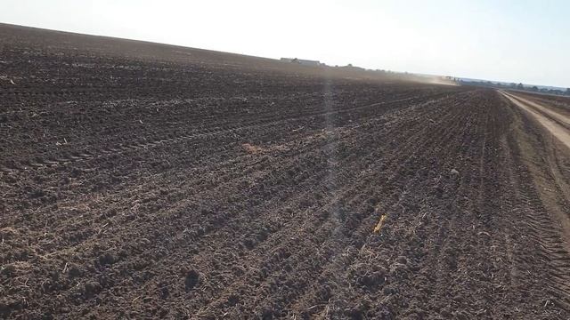 Посев канадского ячменя и пшеницы. Посевная 2019!!! смотреть онлайн