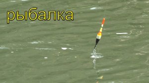 ПРИЕХАЛ В СЕКРЕТНОЕ МЕСТО И РЫБА ПОПЁРЛА! Рыбалка на поплавок .