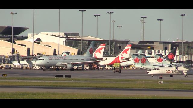Morning Routine at Montreal Trudeau Airport смотреть онлайн