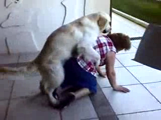 Озабоченая собака смотреть онлайн