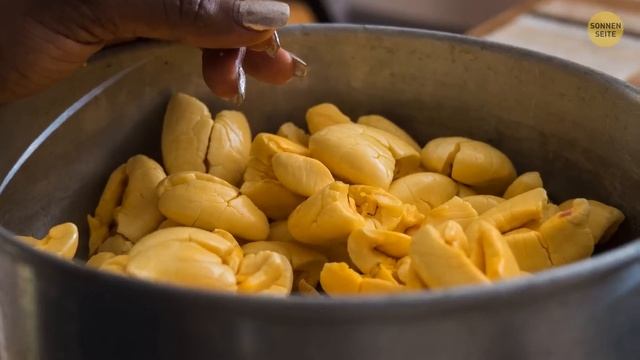 Tipps, wie man Begegnungen mit wilden Tieren überlebt + Bonus Überlebenstipps! смотреть онлайн