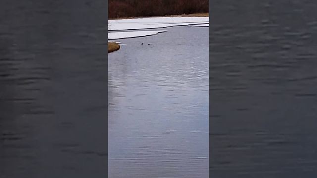 река в Тернее смотреть онлайн