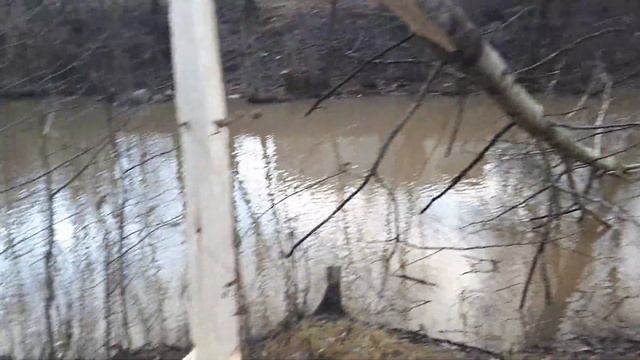 Бобры на Оккервиле. смотреть онлайн